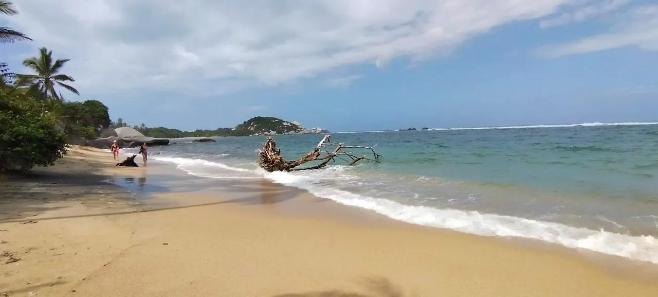 Lodge Casaluna Tayrona Santa Marta