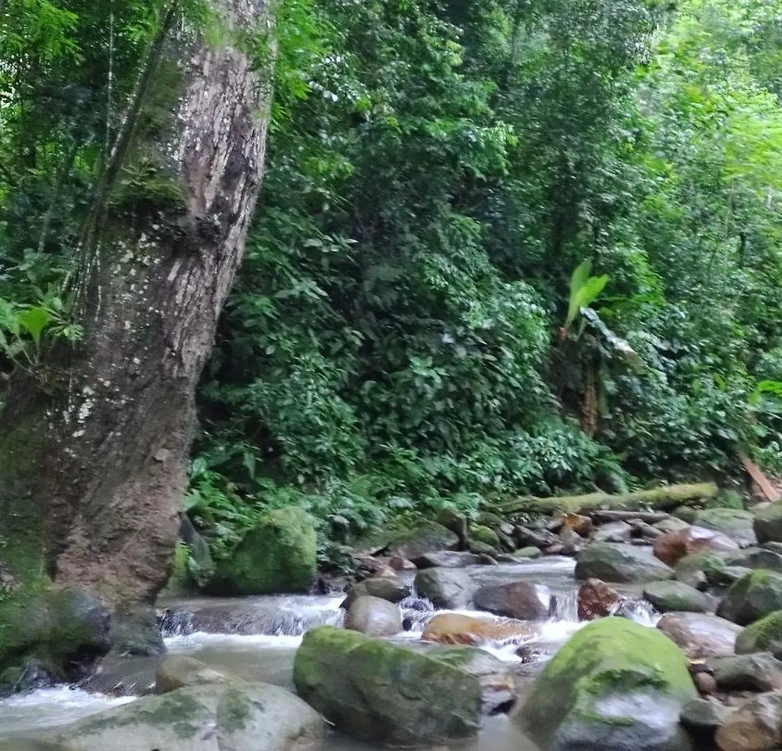 Lodge Casaluna Tayrona Santa Marta