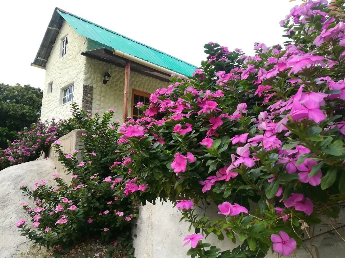 Casaluna Tayrona Santa Marta